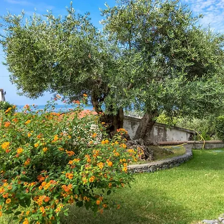 Degli Ulivi Bed & Breakfast *