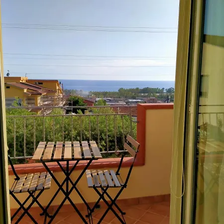 Degli Ulivi