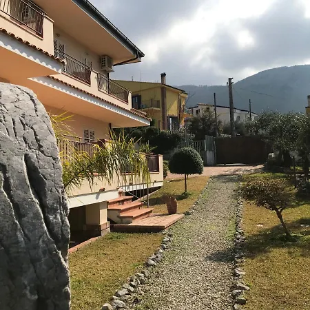 Degli Ulivi *