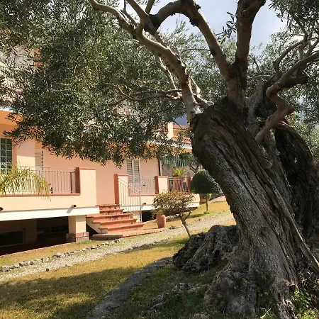 Bed & Breakfast Degli Ulivi Praia a Mare