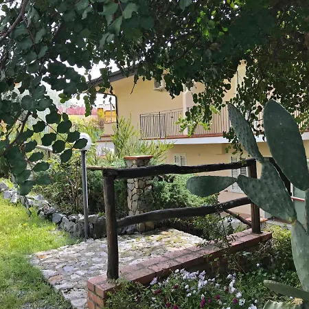 Degli Ulivi Praia a Mare