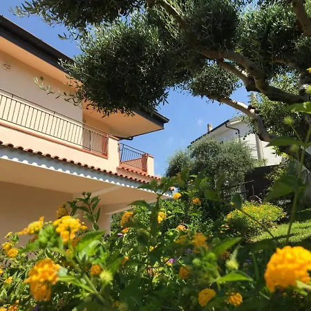 Degli Ulivi * Praia a Mare