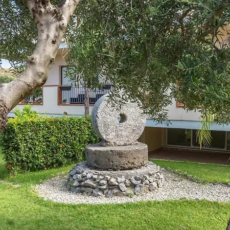Degli Ulivi